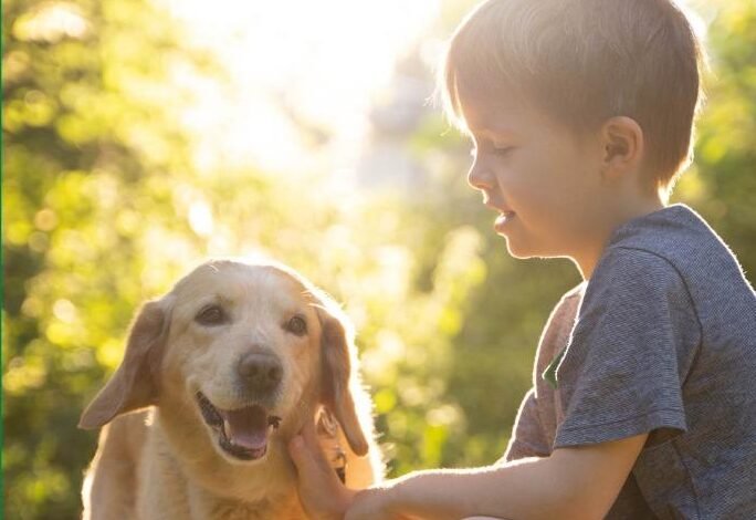 Itupeva promove a campanha Dezembro Verde