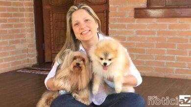 Setor Pet deverá crescer em 2021