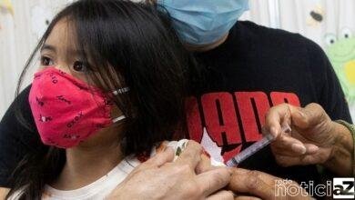 Vacina contra a Covid-19 é segura, informa secretária do Ministério da Saúde