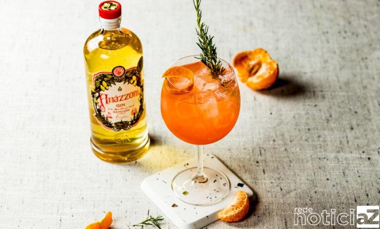 O gin é uma bela pedida para o Natal