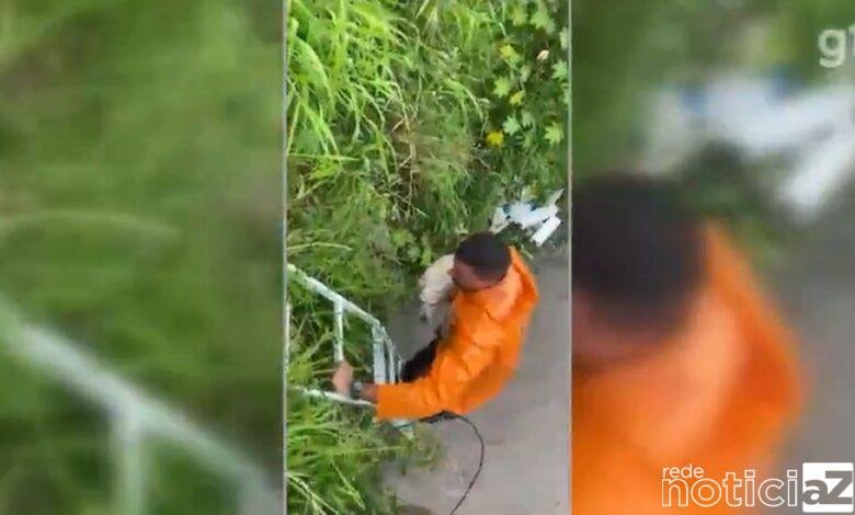 Cachorro é resgatado após cair dentro de córrego em Várzea Paulista