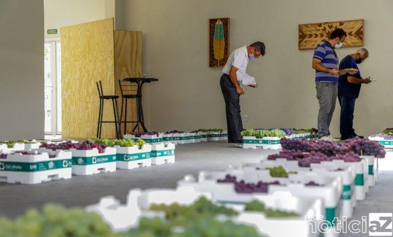 Vencedores da 14ª Expo Uva de Itupeva são conhecidos