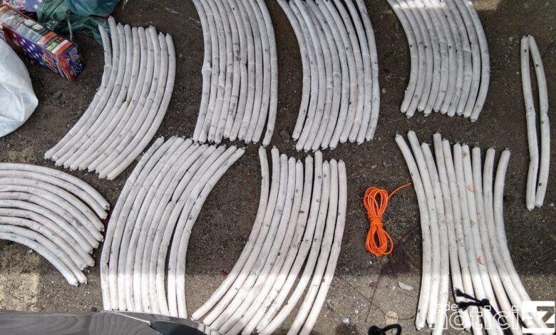 Explosivos são encontrados dentro de ônibus