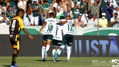 Palmeiras