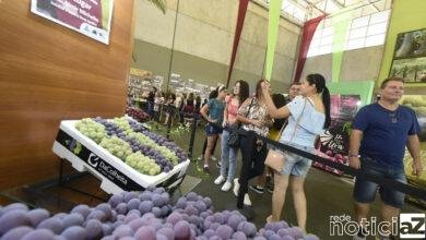 Festa da Uva de Jundiaí é cancelada