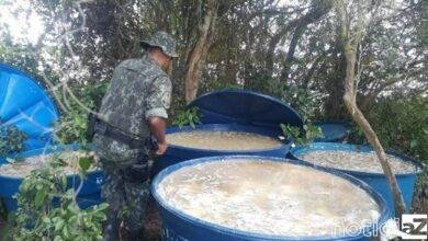 Polícia apreende quatro toneladas de peixes no Litoral