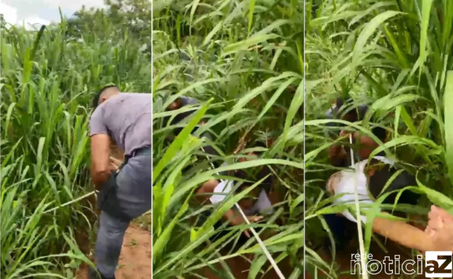 Agarrada em mata mulher é resgatada por PMs