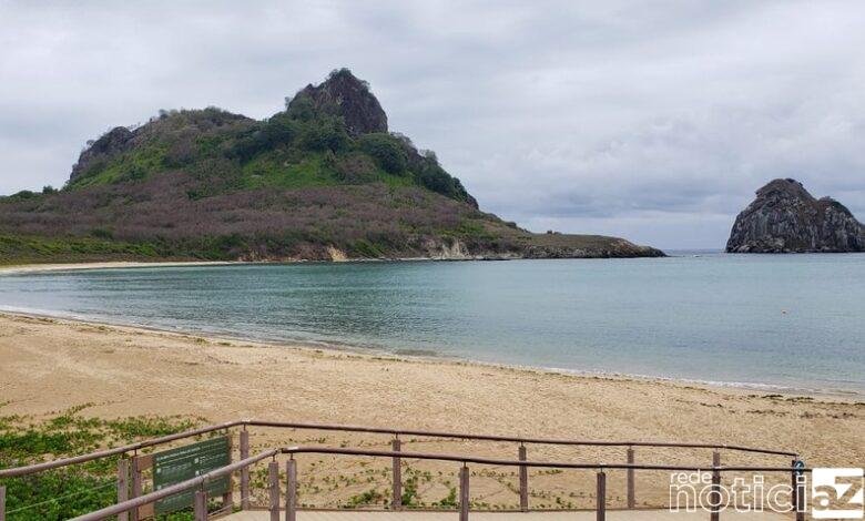 VÍDEO - Vai para a praia? Cuidado com o tubarão