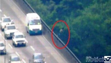 Dupla se arrisca saltando de paraquedas na Rodovia dos Imigrantes