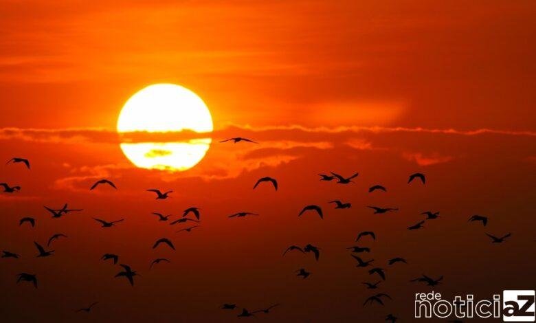 Argentina é tomada pelo calor que beira os 50ºC e o Brasil pode ser afetado