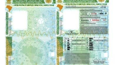 Entenda como tirar ou renovar a CNH