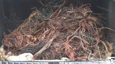 Guardas Municipais apreendem fios roubados