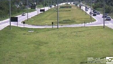 Criança de 6 anos é abandonada em rodovia