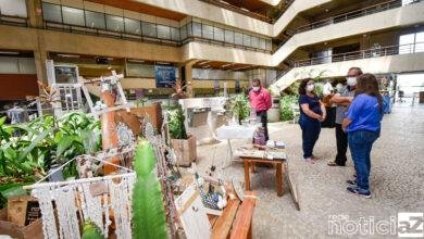 Jundiaí promove a Feira Pop com muito artesanato