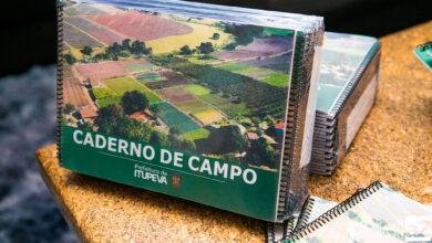 Caderno de Campo
