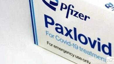 Pfizer envia pedido à Anvisa para o uso emergencial de um remédio contra a Covid-19