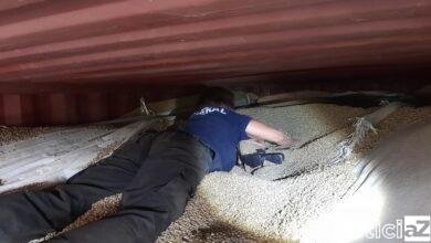 Meia tonelada de cocaína em carga de café é apreendida no Porto de Santos