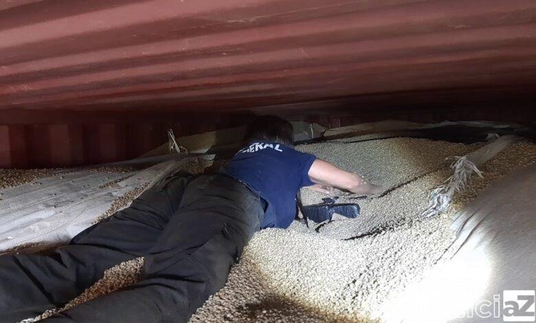 Meia tonelada de cocaína em carga de café é apreendida no Porto de Santos