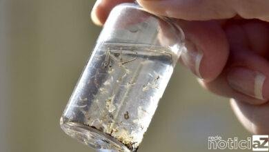 Alerta contra focos de dengue é emitido em Jundiaí