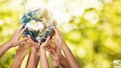 Associação traz dicas para evitar o aquecimento global