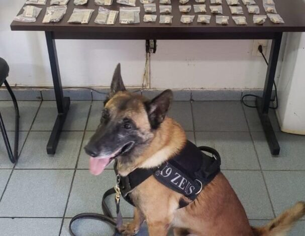 Drogas e simulacro de arma são encontrados pelo Canil da Guarda de Jundiaí