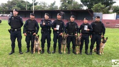 Canil da Guarda de Jundiaí se destaca em competição de cães em Itu