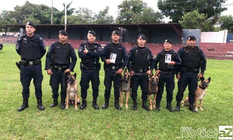 Canil da Guarda de Jundiaí se destaca em competição de cães em Itu