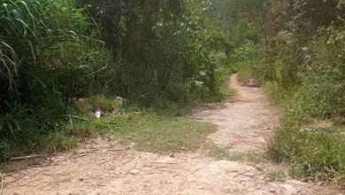 Corpos de motorista de aplicativo e de mulher são encontrados em Cajamar