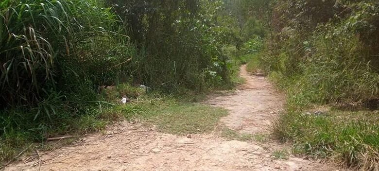 Corpos de motorista de aplicativo e de mulher são encontrados em Cajamar