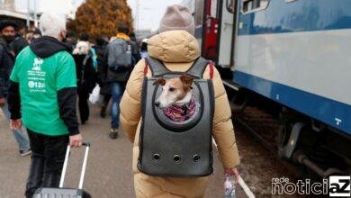 Mais de 1 milhão de pessoas deixam a Ucrânia, diz a ONU