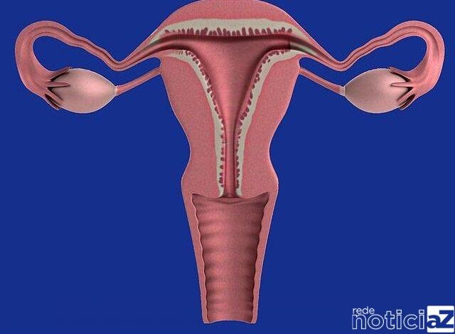 Saiba quais os cuidados devem ser tomados com o câncer de colo de útero