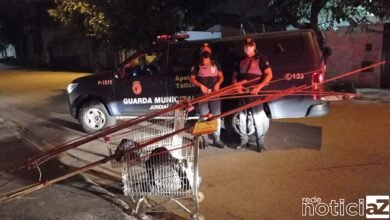 Guarda Municipal prende foragido da Justiça