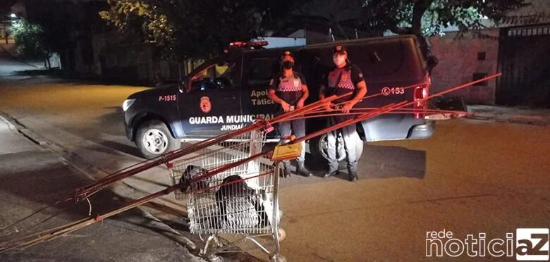 Guarda Municipal prende foragido da Justiça