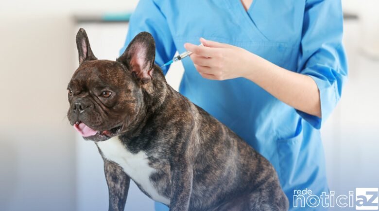 Vacinação anti rábica