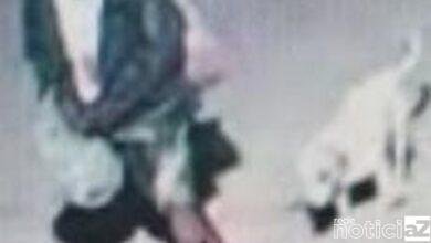 Câmaras de segurança ajudaram na identificação de suspeito de matar morador de rua