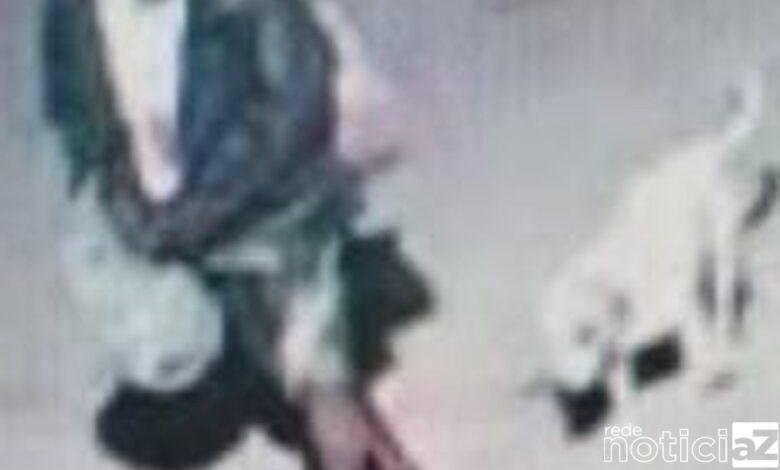 Câmaras de segurança ajudaram na identificação de suspeito de matar morador de rua