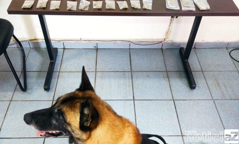 Canil da Guarda de Jundiaí apreende adolescente envolvido com o tráfico