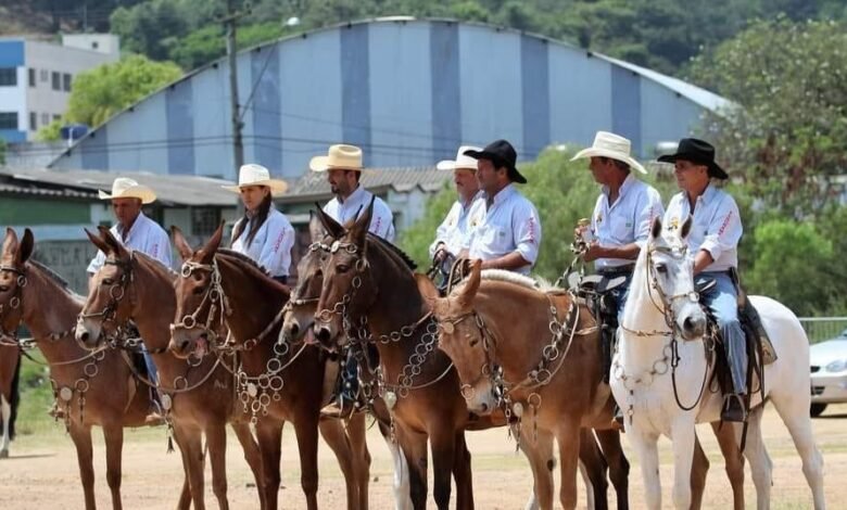 Campo Limpo Paulista promove a Moda de Viola e Cavalgada