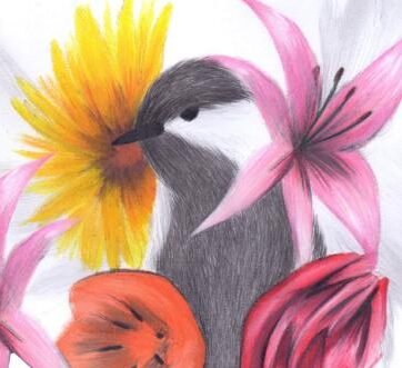 1ª Conferência Municipal de Saúde Mental de Louveira é realizada