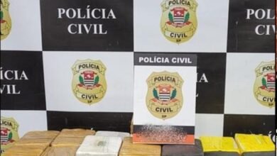Polícia apreende cocaína dentro de caminhão na Rodovia dos Bandeirantes