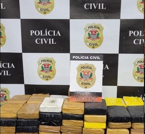 Polícia apreende cocaína dentro de caminhão na Rodovia dos Bandeirantes