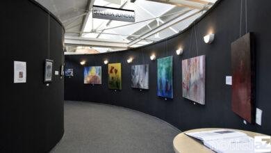 Exposição "Olhos sobre Óleo" é destaque na Bibliteca Nelson Foot