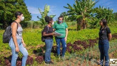 Agricultores de Itupeva contam com programa de orientação