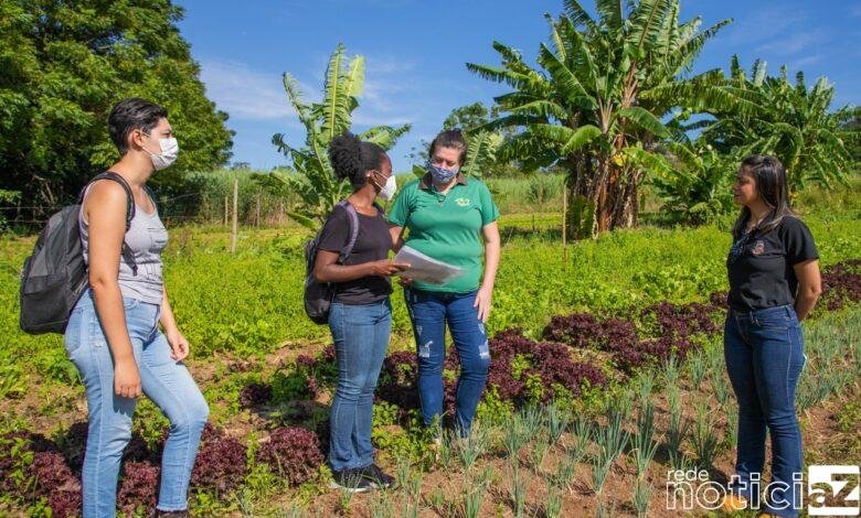 Agricultores de Itupeva contam com programa de orientação