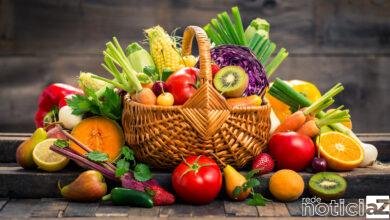 Conheça os alimentos que garantem a imunidade durante a gestação