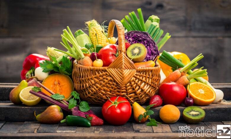 Conheça os alimentos que garantem a imunidade durante a gestação