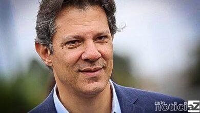 Haddad lidera intenções de voto para governador de São Paulo, diz Datafolha