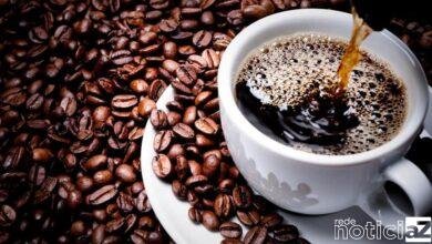 O café é tema de um seminário internacional