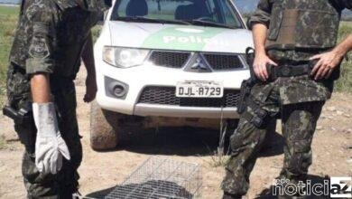 VÍDEO - Polícia resgata lagarto 'dinossauro' debaixo de caixa d'água