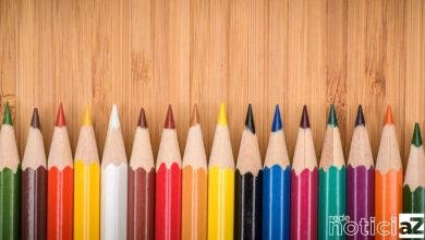 Profissionais do Hospital São Vicente de Jundiaí ganham homenagem dos filhos